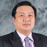 Professor Dr Wang Yin Chai