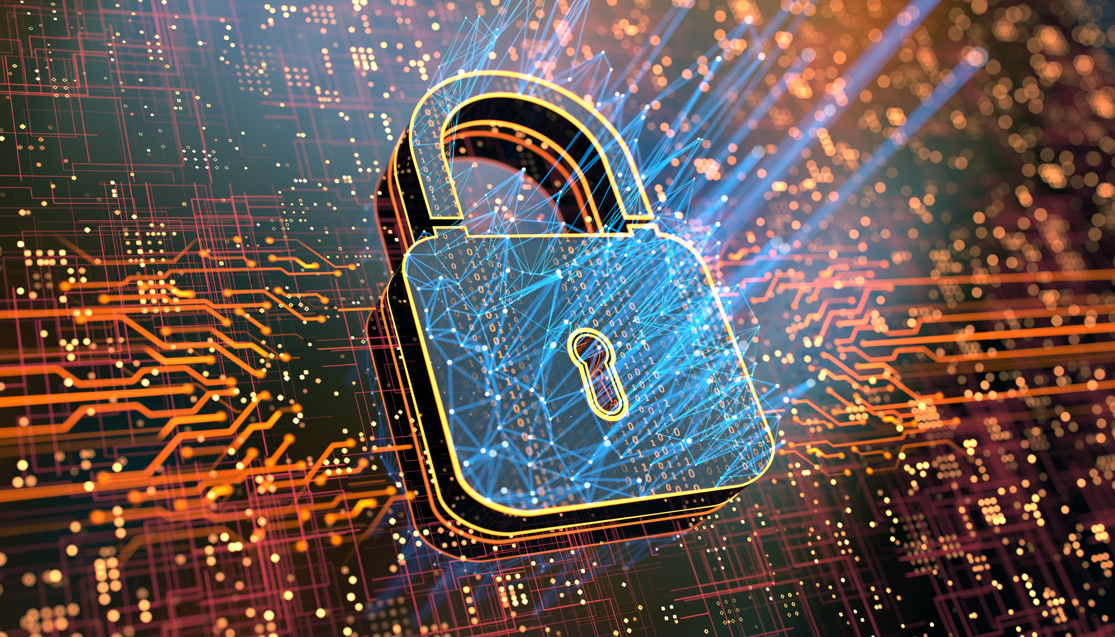 Navigating the cyber security landscape